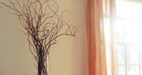 Gallery Item 1
